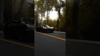Power runs deep 🦇 C8 Corvette Stingray Z51