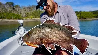 Insane surface jack session