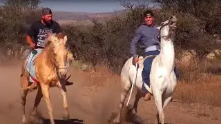 Carreras de Caballos Los Haro Jerez 2016