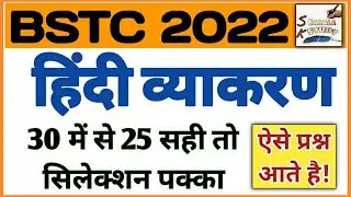Pre Bstc 2022 Hindi Grammar TEST/ 25 सही करके बताओ/ Deled Hindi Model Paper/ Online Class/ Sk Barala