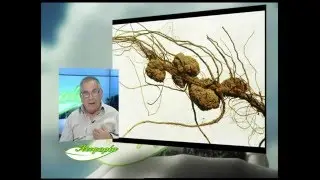 3β ΒΕΛΤΙΩΣΗ ΕΔΑΦΩΝ ΣΤ.ΚΑΠΛΑΝΟΓΛΟΥ ΑΕΙΦΟΡΙΑ