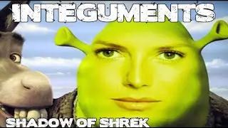 NEVER PLAYING AGAIN // Integuments: Shadow Of Shrek