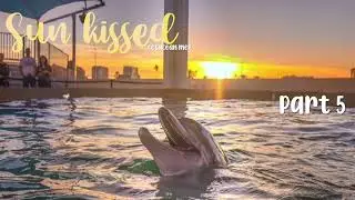 Sunkissed :: cetacean mep :: closed :: (3/8)