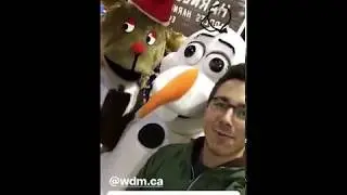 Festival of Trees