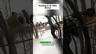Hunting in Single Digits: Extreme Ohio Cold Weather Bowhunting Adventure! #shorts