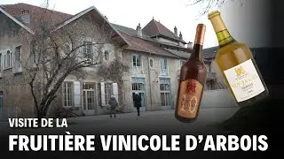 Visite de la fruiti&egrave;re vinicole d'Arbois