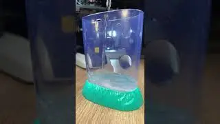 Sea-Monkey-like brine shrimp hatching under microscope look AMAZING! - Part 1