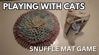 Snuffle Mats for Cats | How to Play with Cats