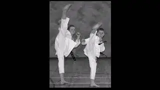 Steve Lowe karate kicking