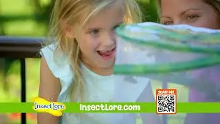 Transform Caterpillars to Butterflies with Insect Lore's Butterfly Garden