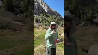 Sam Mack Meadows, John Muir Wilderness, June 2025