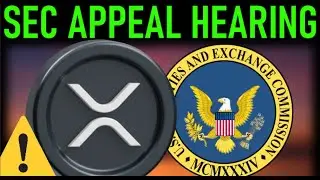 🚨XRP SEC APPEAL UPDATE SENATE HEARING McCALEB STELLAR DRAMA🚨