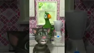 Tom & Jerry Posse Cat