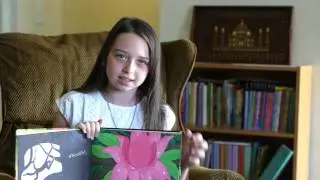 Usborne Books - Shine-A-Light Books