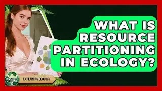 What Is Resource Partitioning In Ecology? - Explaining Ecology
