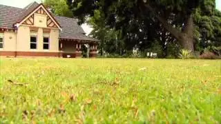 My Garden Your Garden - Waterwise Plant Grouping