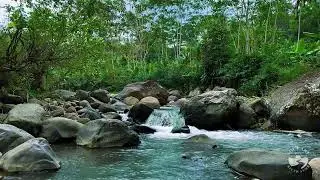 River Sounds All Night for Sleeping | Calm Natural Flowing Water Ambience