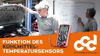 Temperaturfühler-Unterricht mit Perki - Grundwissen leicht erklärt