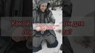 Какой нужен кивок для ловли на черта? #зимняярыбалка #ловляначерта #ловлянабезмотылку #рыбалказимой