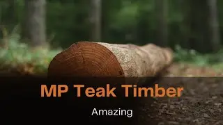 I Bought Real MP Teak Timber (and it's AMAZING)