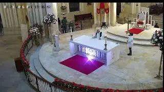 Transmisión Eucaristía Basílica de Lourdes   2026