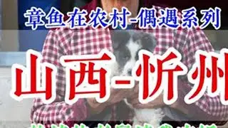 每个人活在这个世上都不容易，珍惜你身边的人，记得善待他人…… #乡村守护人 #正能量 #山西