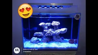 Como montar luminária led para aquário marinho