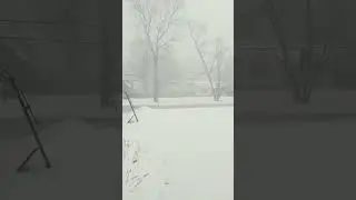 Snow Squall came out of nowhere emergency alert!