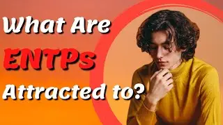 Что привлекает ENTP? EP 6/16 Тип личности ENTP