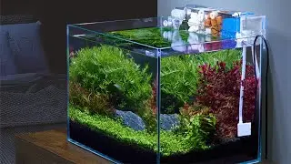 New Model Aquarium Filter From Yee Aquarium Top Sump Filter @Petzlifeworld