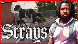 Strays - Official Trailer [HD] | REACTION!