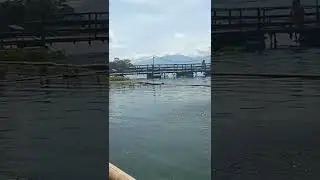 mancing saguling sepot mariuk#shorts