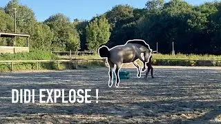[S&Eacute;ANCE] DIDI EXPLOSE !