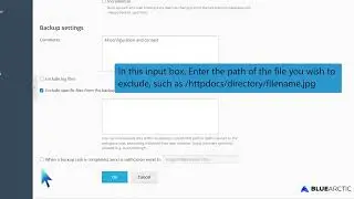 How to exclude specific files or folders from the Plesk backup   BLUE ARCTIC