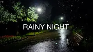 Rainy Night in Empty Park - Gentle Rain & Distant Crickets (1 Hour for Sleep & Relaxation)
