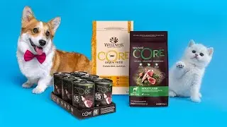 Wellness CORE в эфире Ozon Live! - Запись стрима от 25.01.2021