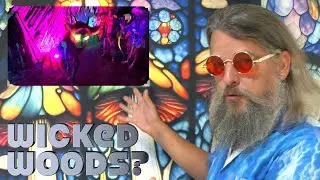a Journey to Wicked Woods Music Festival 2024