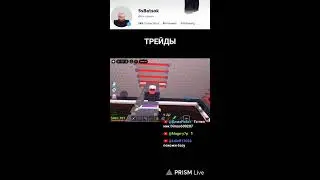 Прямая трансляция SsBatsok
