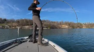 Claytor Lake BASS BEATDOWN😈!  (NEW PB) (NO LIVESOPE🫣)