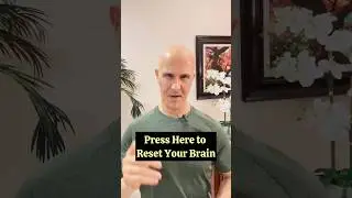 Press Here to Reset Your Brain!  #drmandell #health #healing #brain