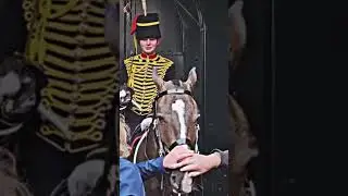 Королевская гвардия начала плакать, когда ее навестили родители 🥲❤️ #королевскаягвардия #букингем...