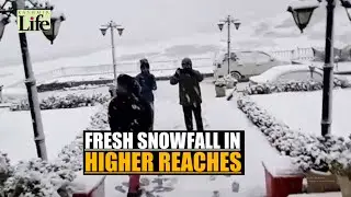 Fresh Snowfall In Higher Reaches