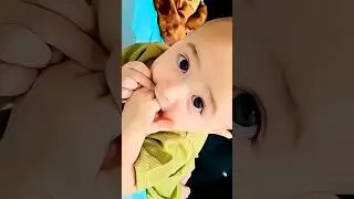 Cute Baby Muhammad Ali Shan old Moments 🥰 #cutebaby #shorts #video #viralbaby #youtubeshorts