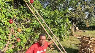 AFRICA THEY DON'T SHOW  YOU ON TV@DextersWorld @priscillanyairiaafricanqueen @KurtCaz