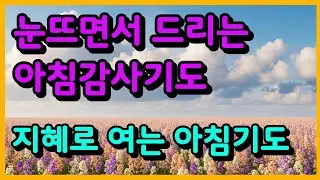 지혜로 여는 아침기도ㅣ 아침기도 ㅣ하루를여는기도