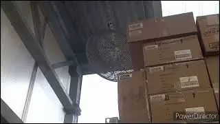 Fans At Home Depot