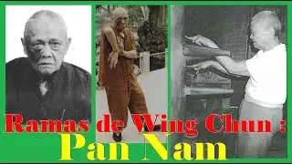 Ramas del Wing Chun : Pan Nam