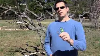 Prospecting and Simplifying