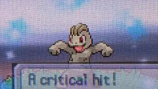 560 - This totally random Shiny Machop on Platinum might have given me a run for my money...