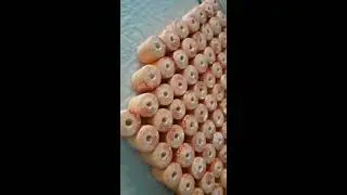 Plastic Baler Twine Project